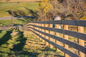 Wood Fencing